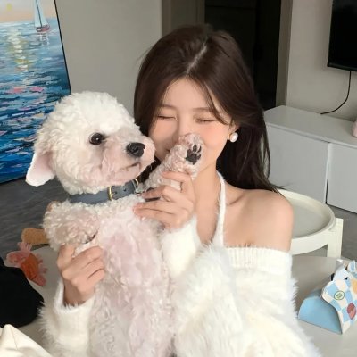 妮基塔第三季